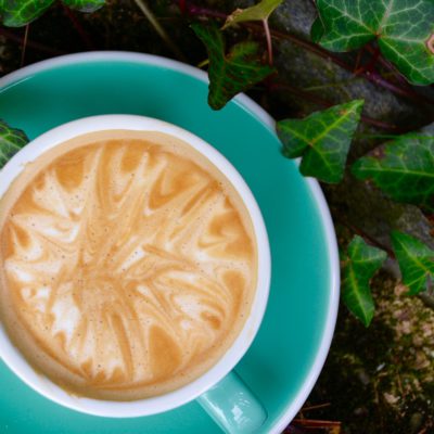 latte in a garden
