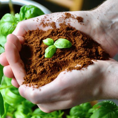 man holding coffee grounds over a garden