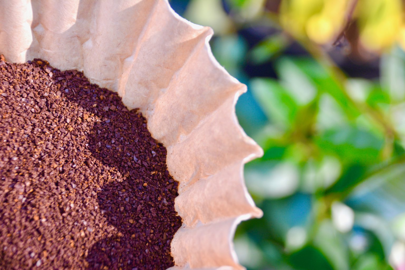 10 Unexpected Ways to Use Coffee Filters Baked, Brewed, Beautiful